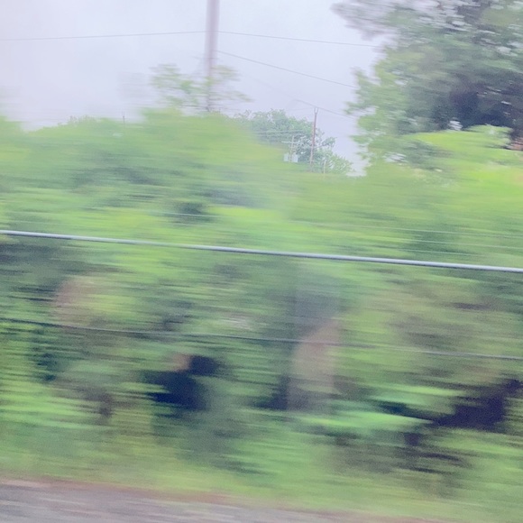 Meet your Posher, Dante - Picture 1 of 1